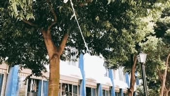 我的青春，叫电子科大成都学院！