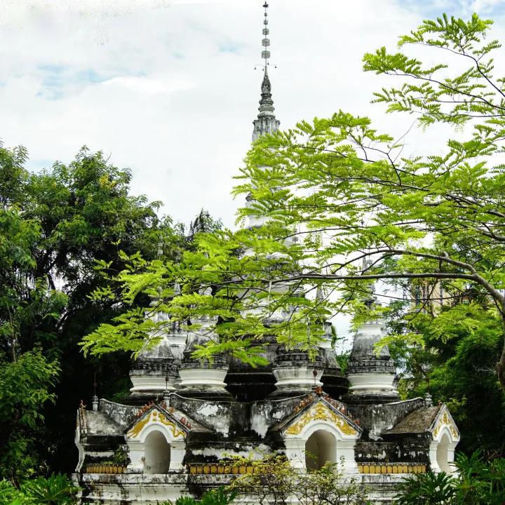 打卡中老铁路,曼听公园网红打卡景点