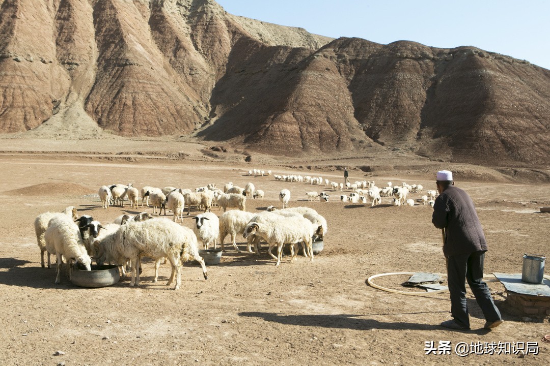 今天，它改变了宁夏！|地球知识局