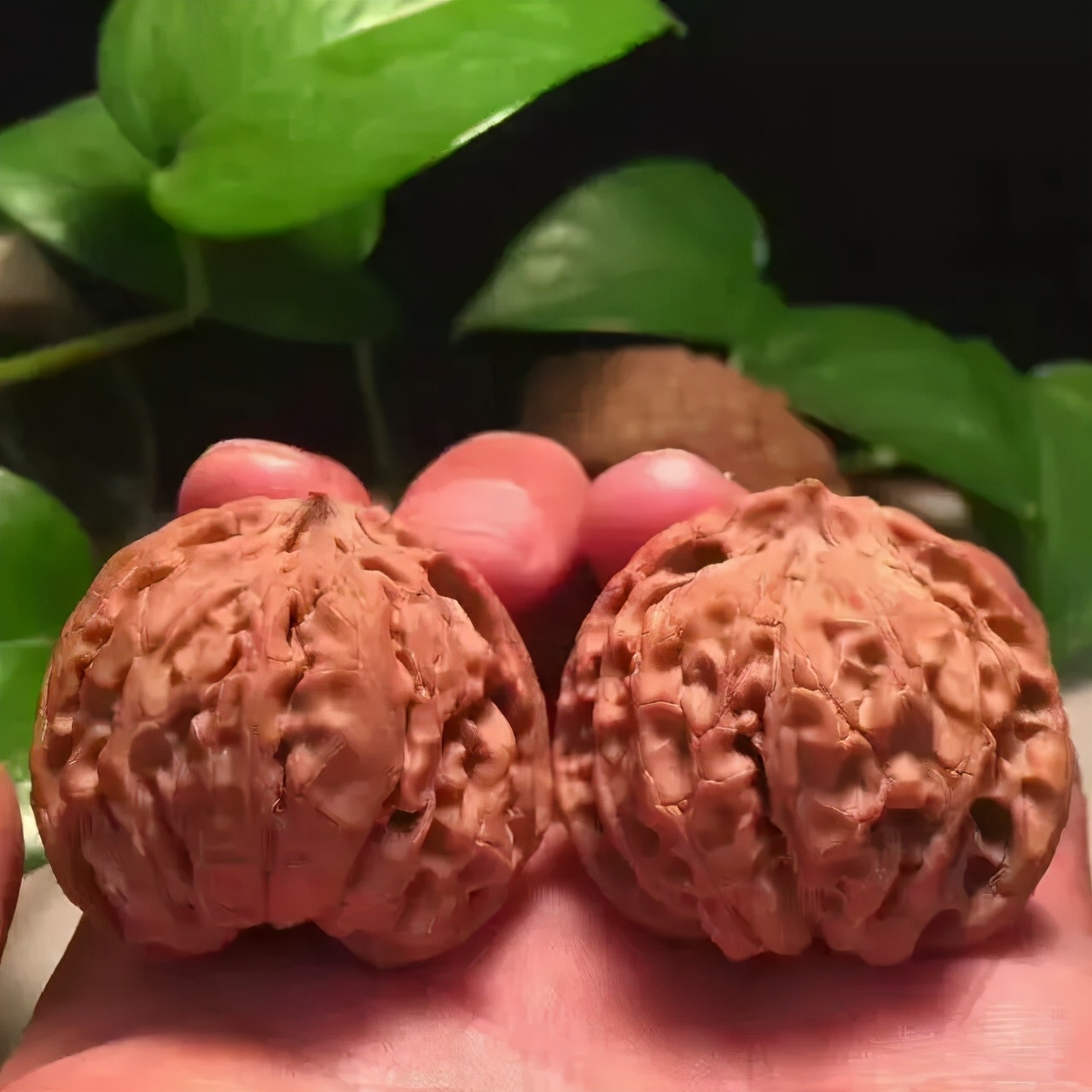 如何盘核桃又红又亮,核桃怎么盘油亮