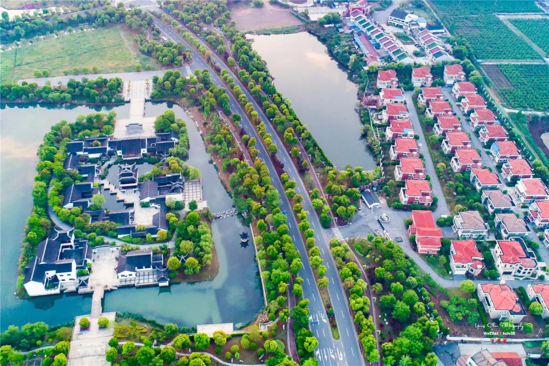 潮州市凤凰腾飞茶叶,凤凰腾飞祥瑞降临