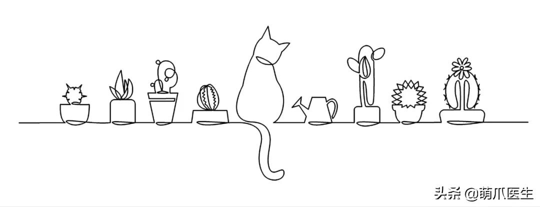 养了猫还适合养鹦鹉吗,养了猫还能养松鼠吗