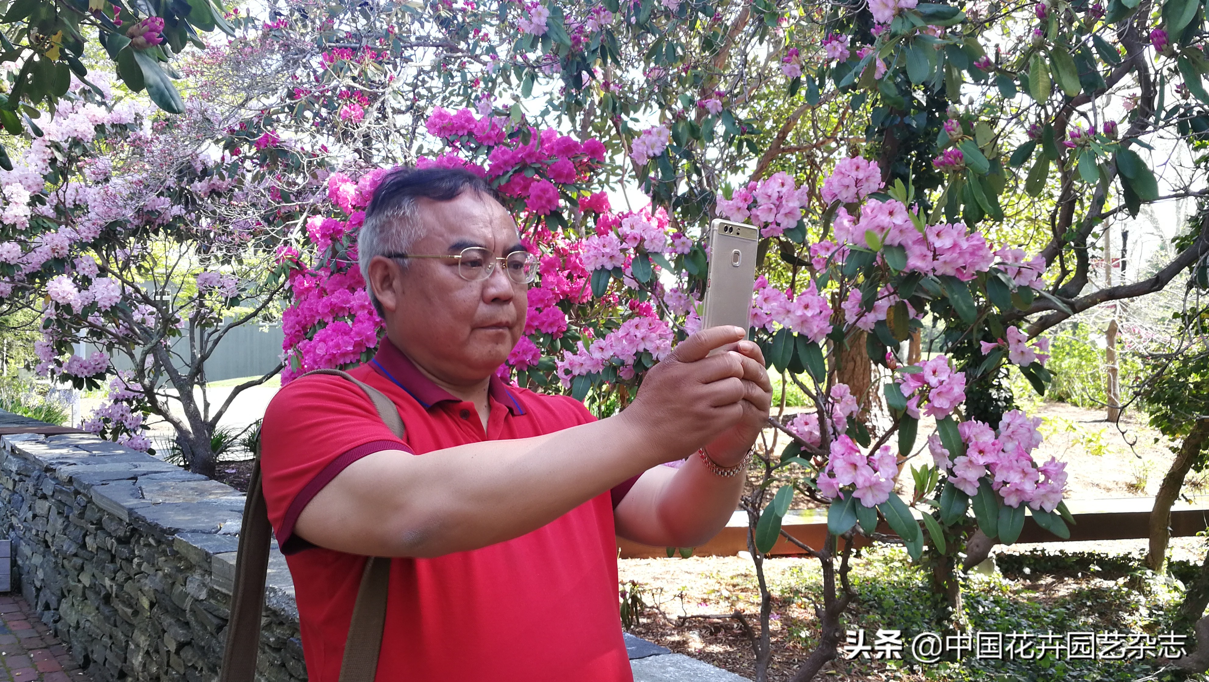 一等奖征文名单,一等奖征文欣赏