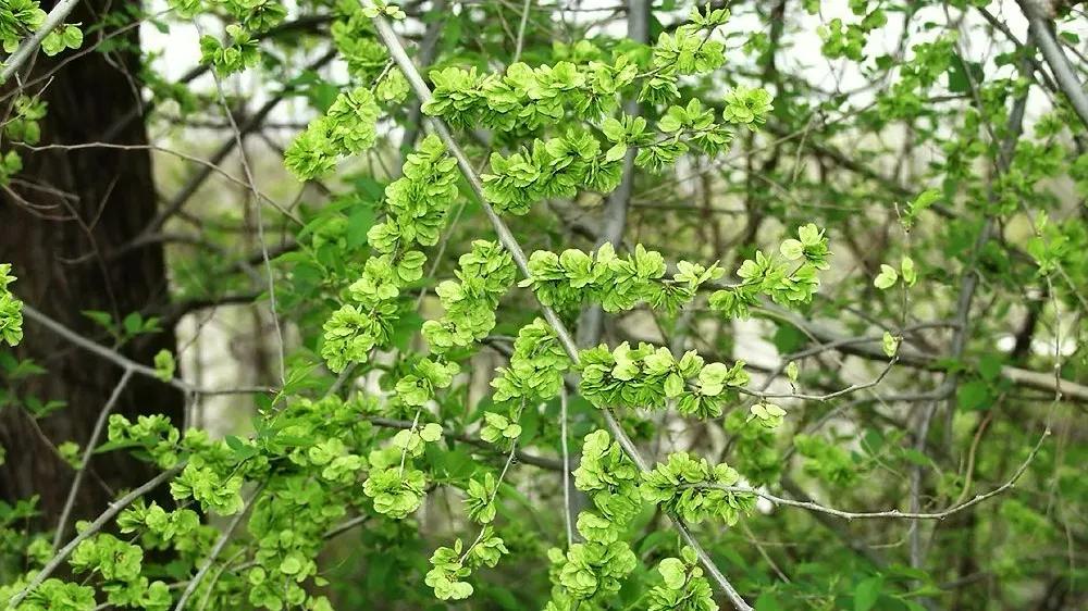收藏什么样的老酒比较好,老酒的收藏价值与功效