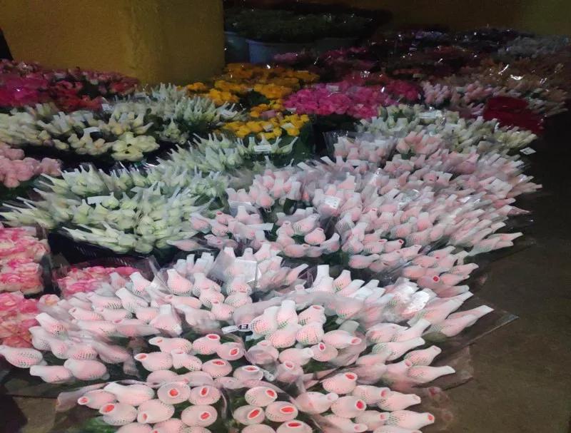 集美的郁金香花海,集美的花卉世界