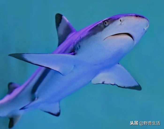 这4种维生素80%人非常缺,三秒判断出缺哪种维生素