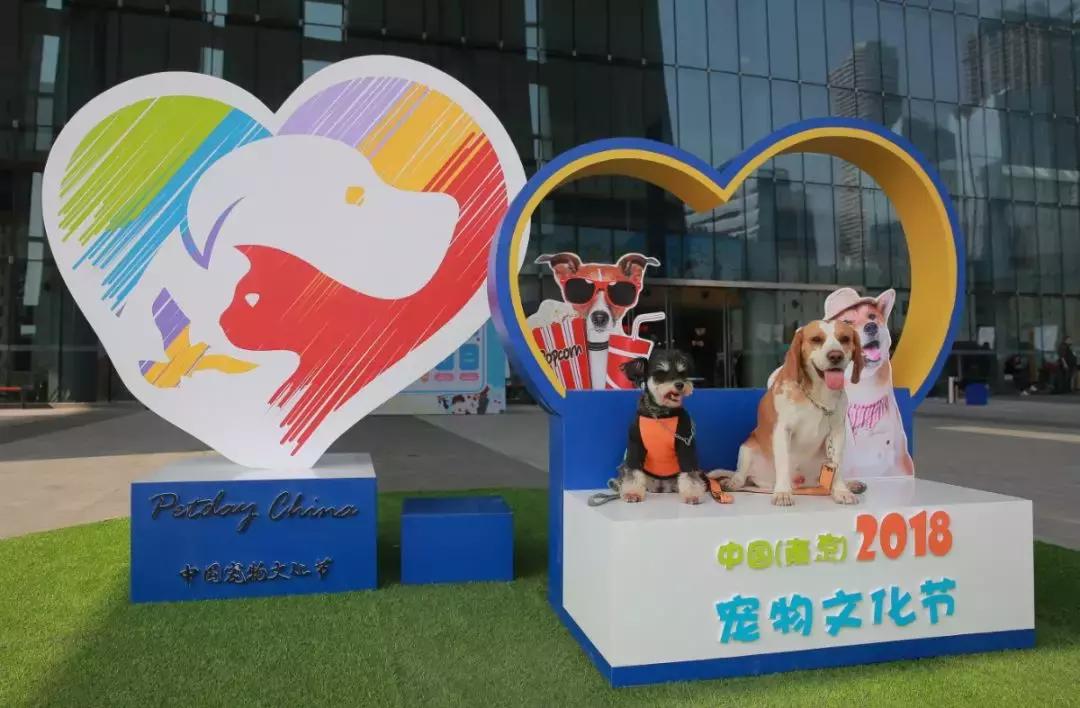 萌宠齐聚南京宠物博览会,day1