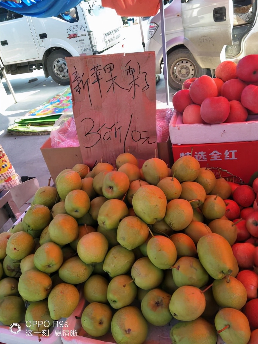 四川姑娘在新疆的生活日常,四川姑娘在南疆记录美好生活