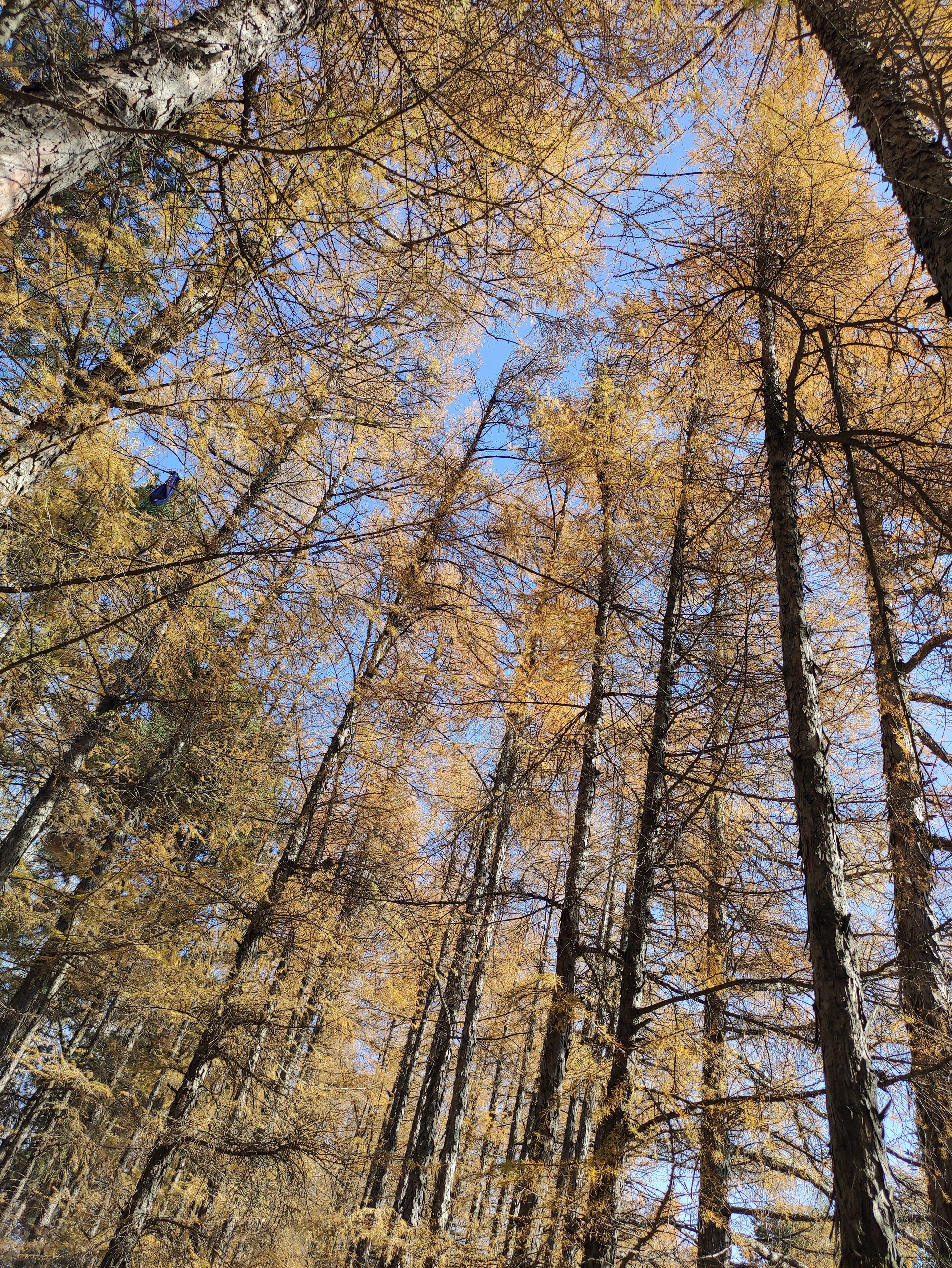 欣赏年画、邂逅大海、闲逛宜家，将生活过成诗与远方