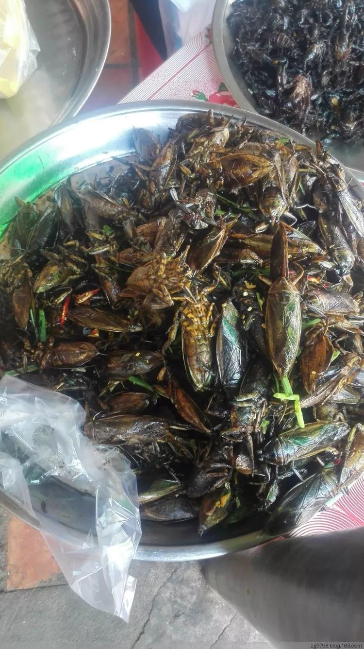 真实存在的世界十大怪,世界十大怪