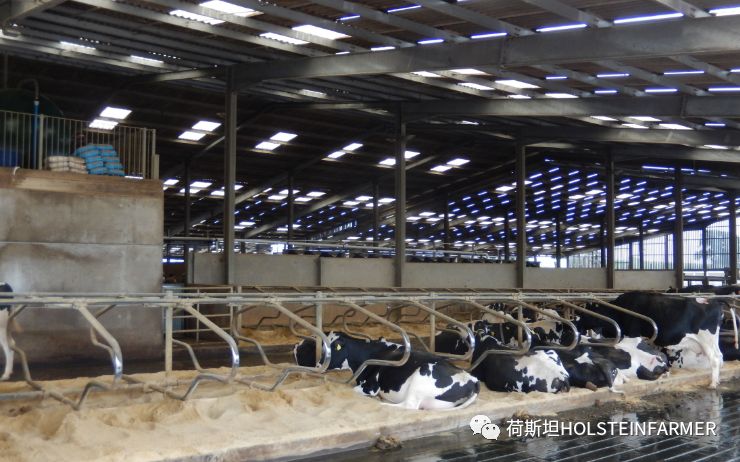 PeterEdmondson博士：乳房炎防控之干奶期管理