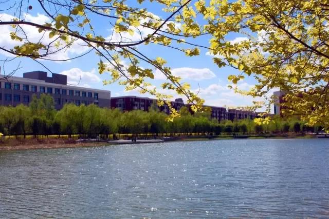 辽宁中医药大学杏林学院独立学院,辽宁中医药大学三个校区