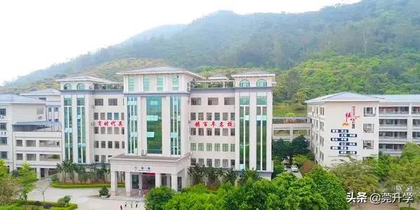 东莞市排名前十的民办中学,东莞中考民办招生分数最高学校