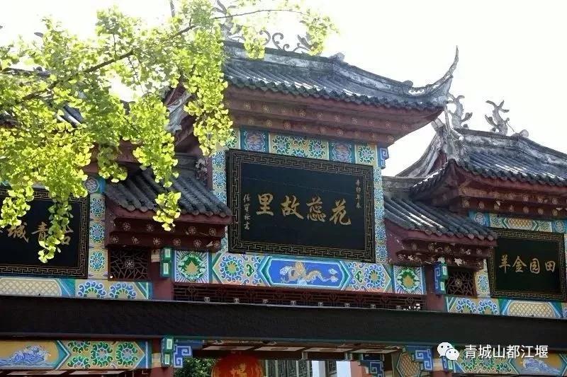 青城山熊猫谷都江堰一日游攻略,熊猫谷青城山都江堰一日游攻略