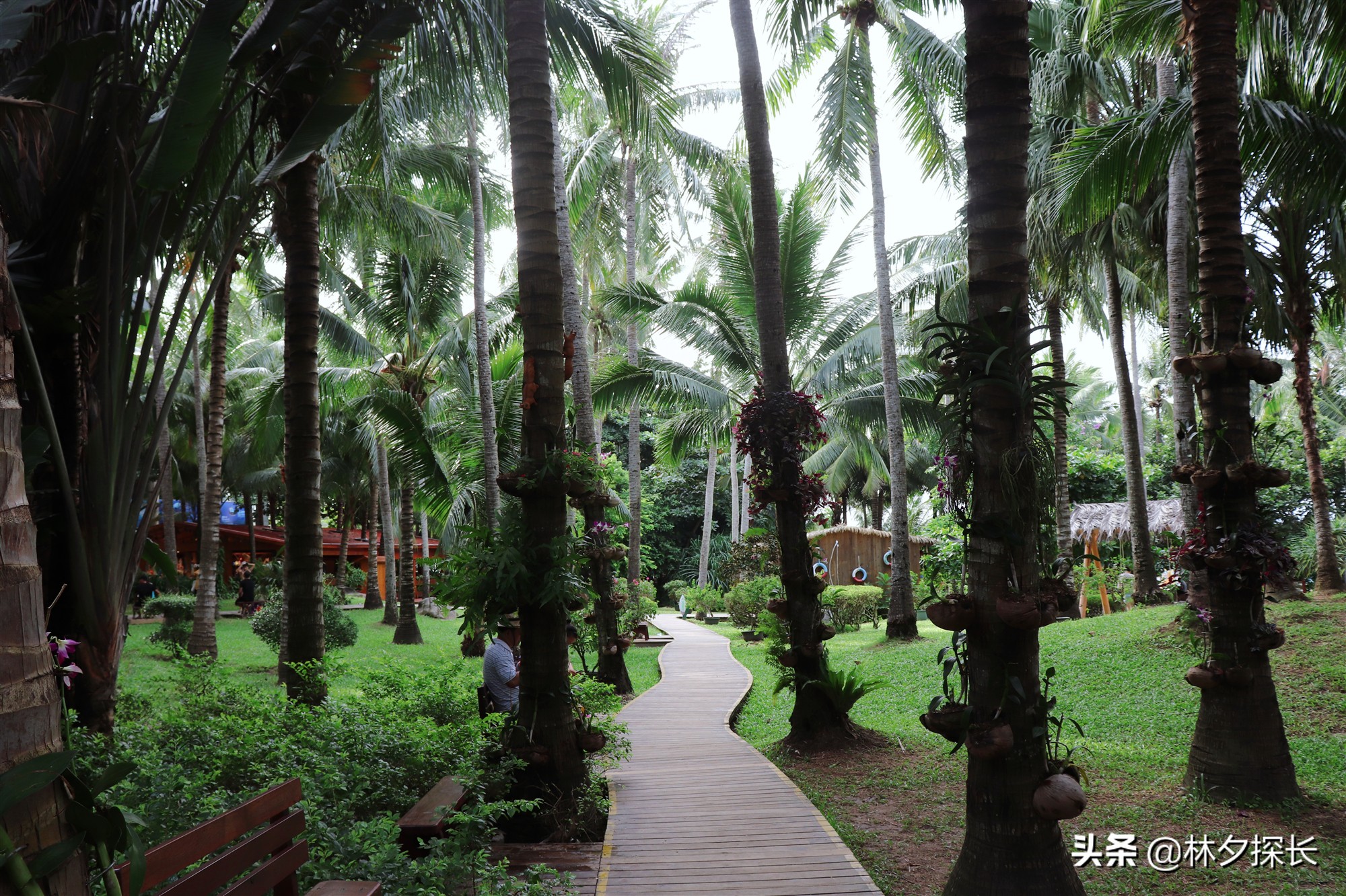 三亚蜈支洲岛潜水项目多少钱,三亚潜水岛有哪些