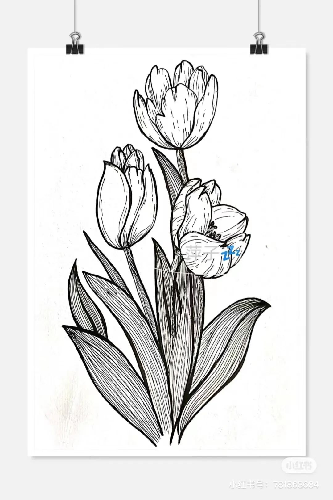 花卉简单线描创意画,花草线描画装饰