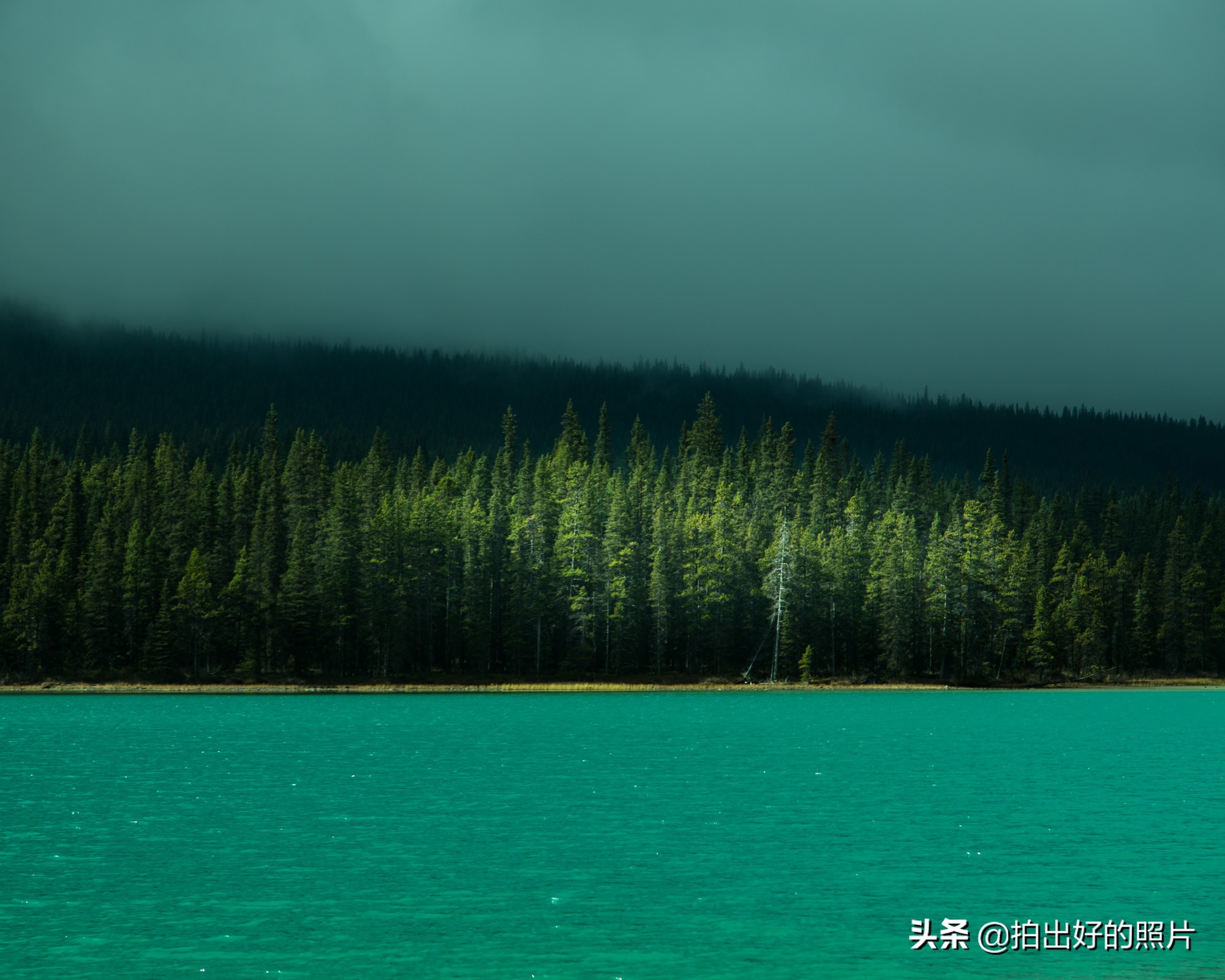 一般摄影构图常见的4种构图方法,摄影中的三分法运用技巧