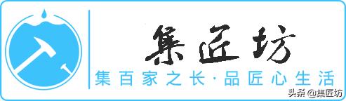 大树型金豆盆景怎么造型,金豆无根老桩栽培技巧