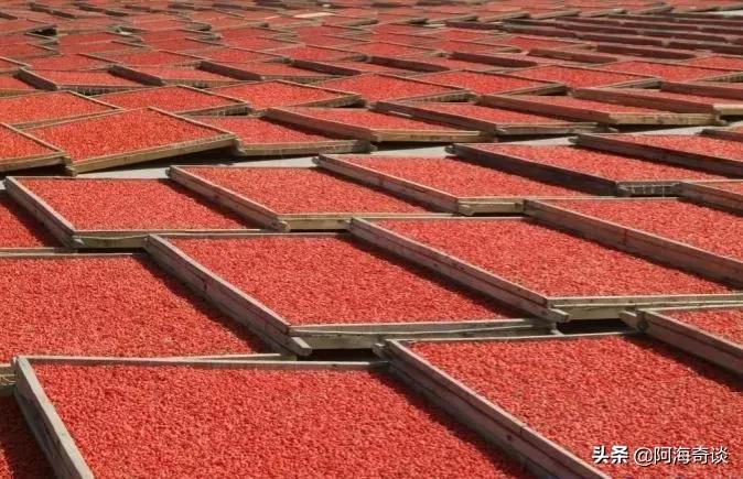 宁夏固原十大名酒,宁夏白酒十大名酒排名