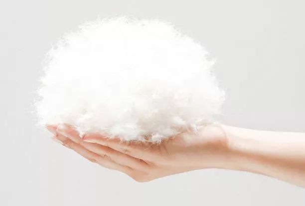 为什么羽绒被壳会响,为什么羽绒被钻绒跑毛严重