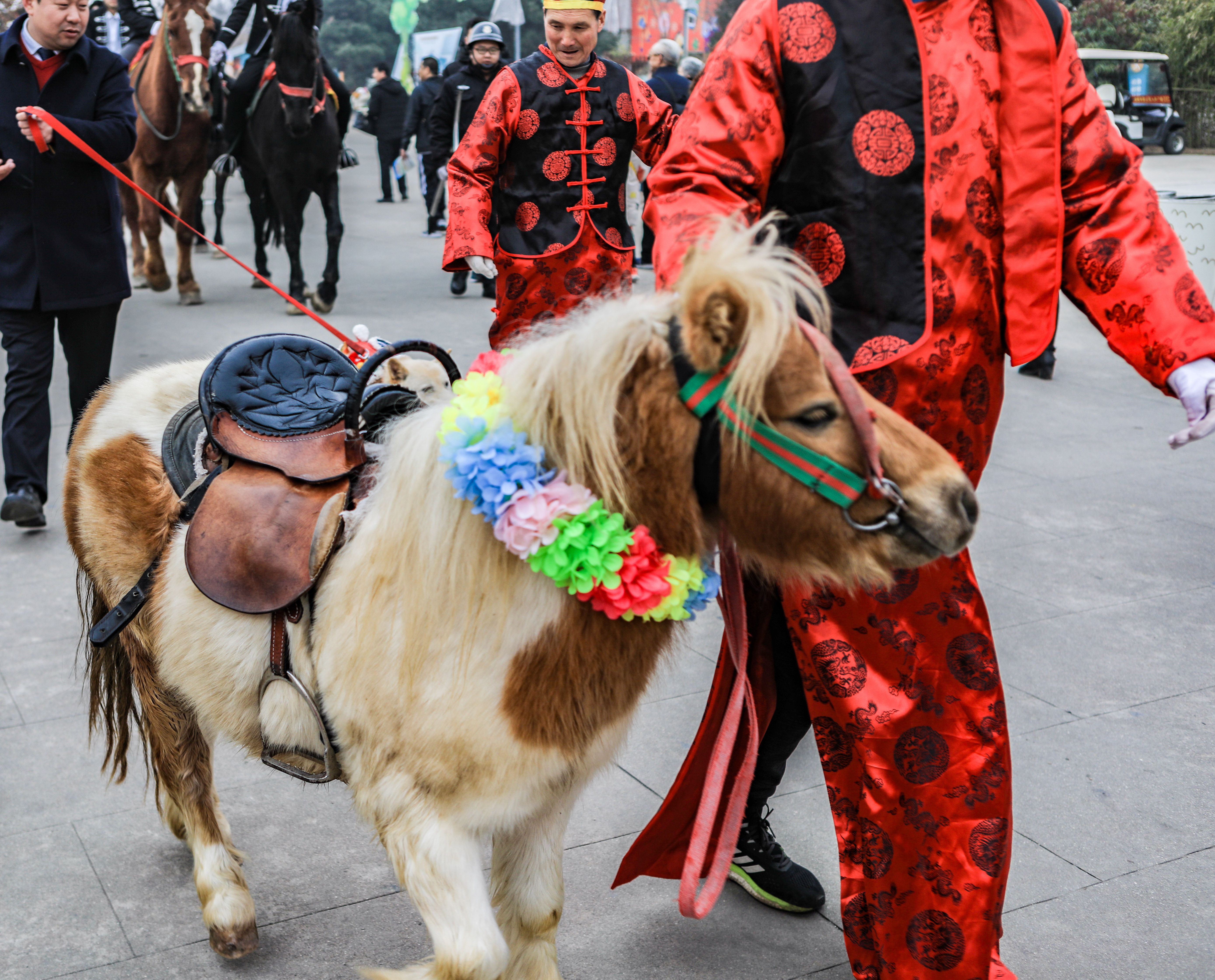 这是西北首个野生动物园，实测喂老虎是一种怎样感受！刺激