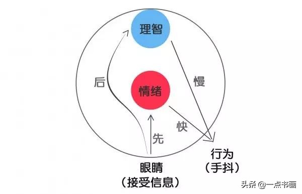 工笔画先勾线还是后勾线,工笔画先勾线还是绷绢后勾线