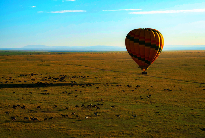 旅行攻略·肯尼亚：跟随《狮子王》震撼你的视觉，哈库拉，玛塔塔