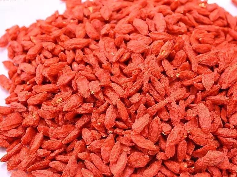 康芝仁中医馆资兴,康芝仁中医馆电话