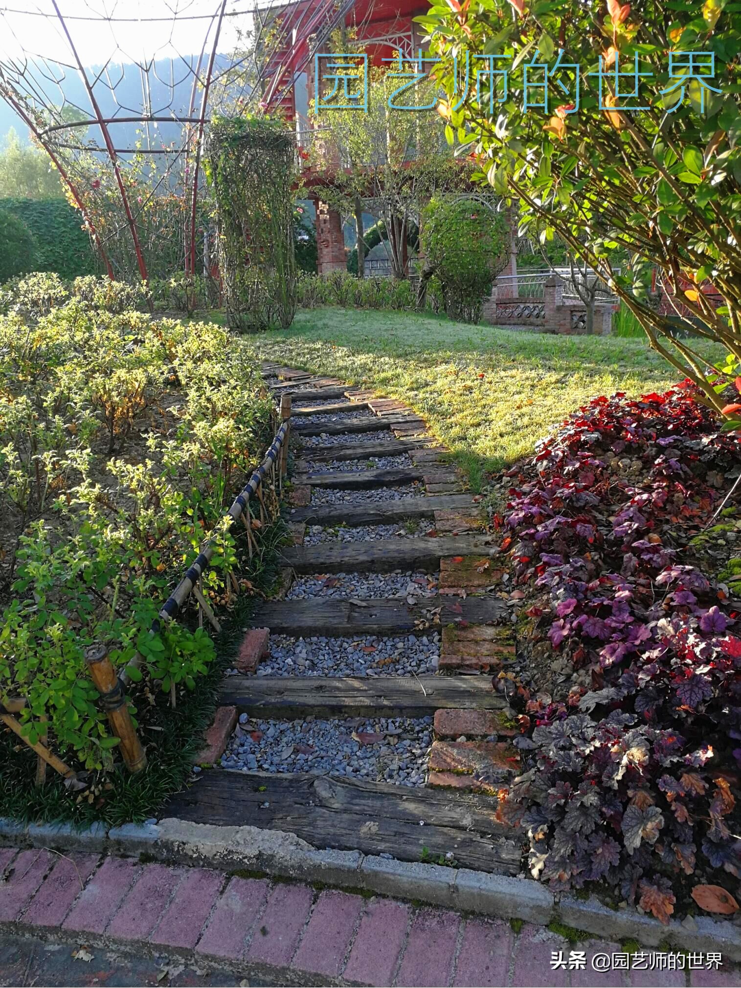 花园科学实验,花园案例及解析