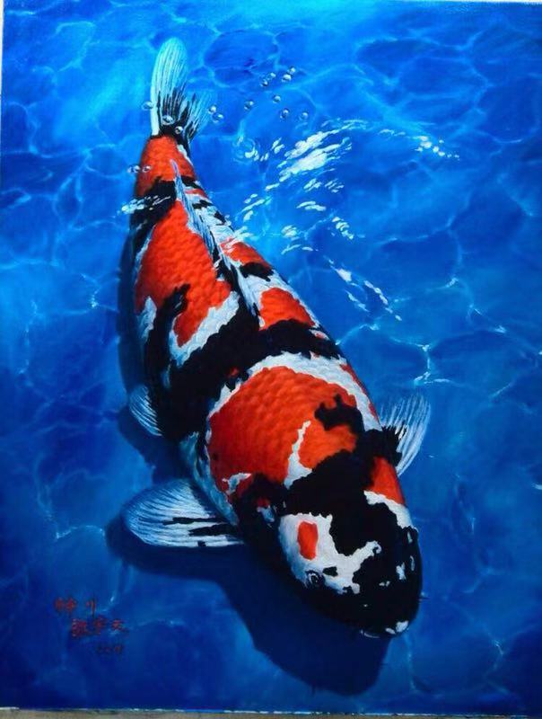 鱼缸养锦鲤鱼的方法和技巧,鱼缸新手养锦鲤鱼的正确方法