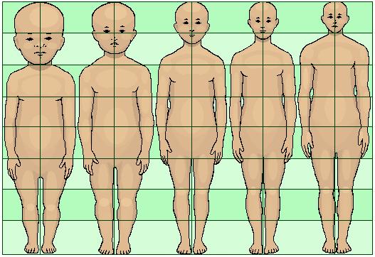 人类进化过程中为什么还有体毛,人类进化退化毛发