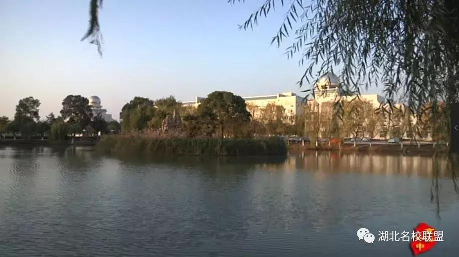 东风催放花千树——京山县第一中学