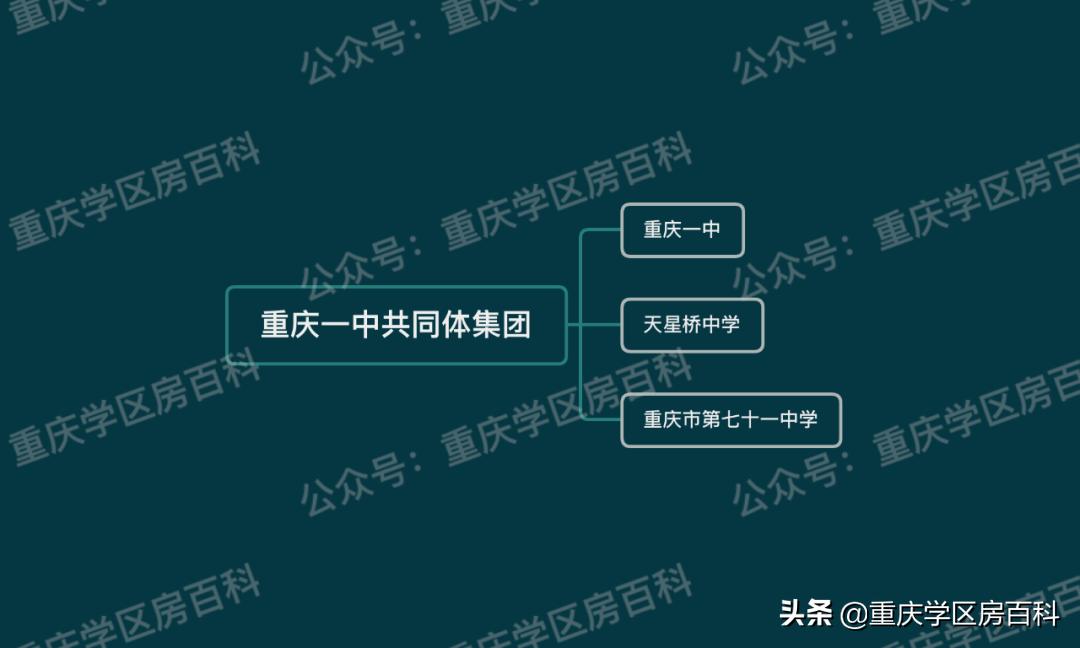 重庆五大教育集团,重庆五大幼教集团