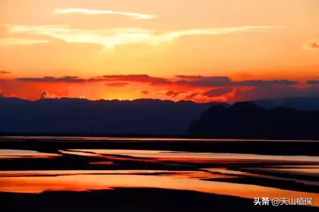 新疆的图木舒克市在什么位置,新疆的图木舒克是在北疆还是南疆