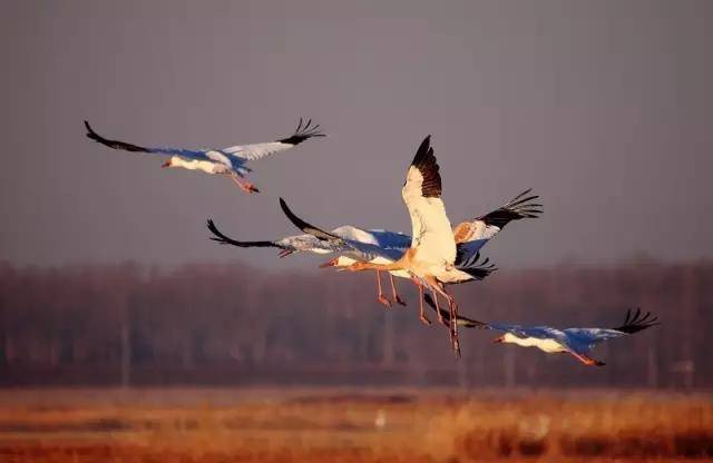 吉林美翻天旅游攻略路线,吉林必去的旅游清单