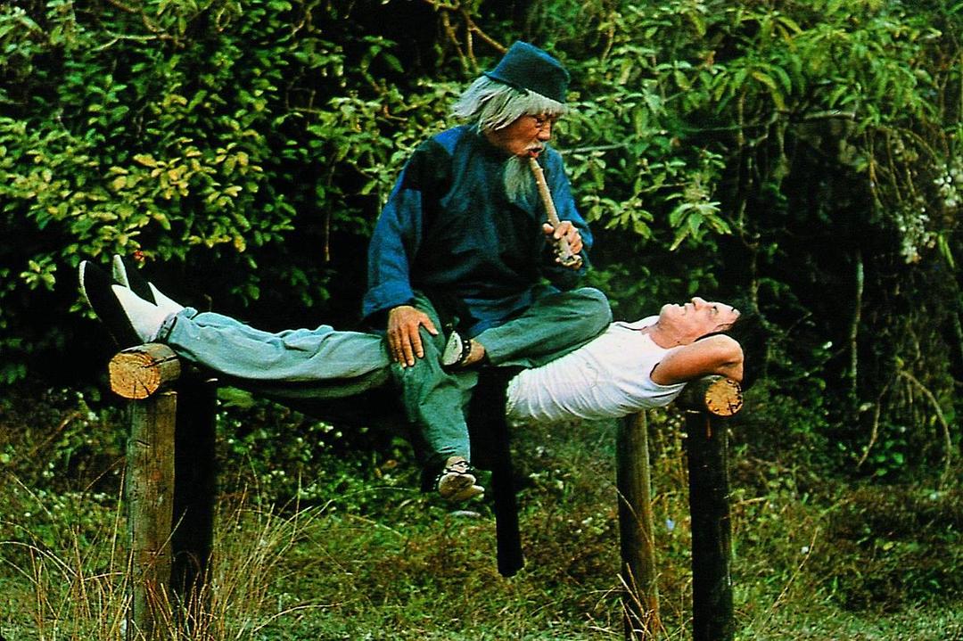 洪金宝为什么要跟林正英拍电影,洪金宝与甄子丹这部高分动作电影