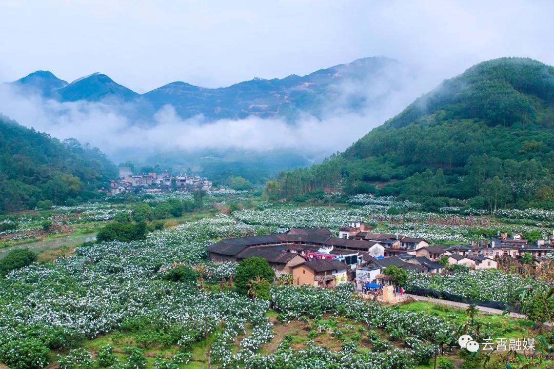 云霄一日游旅游攻略大全,国庆云霄旅游攻略
