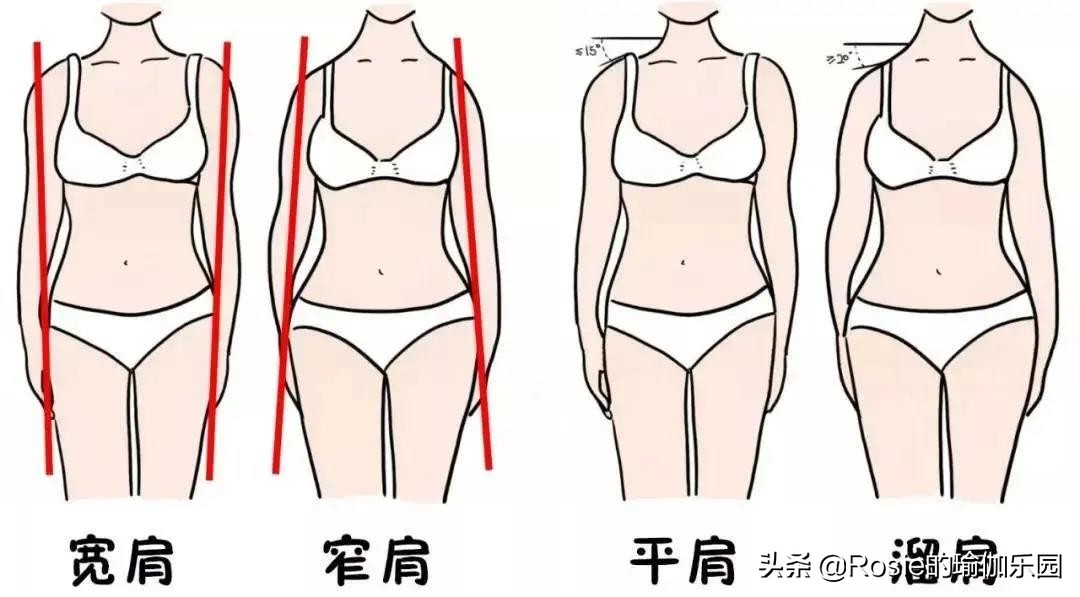 金晨瘦背瘦手臂,金晨马甲线怎么练成的