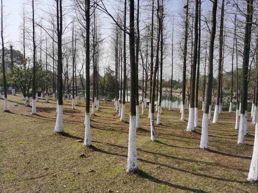 男人胡子拉碴的感觉,男人胡子拉碴的运势