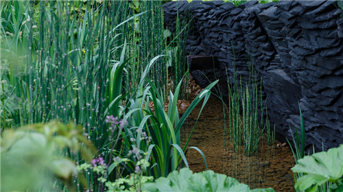 切尔西花展举办,2020年切尔西花展抢先看