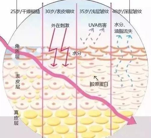 水精华乳液面霜有必要一起用吗,为什么要擦水乳精华霜的原因分析