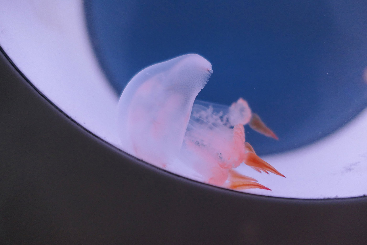 松下街拍视频,松下lx10翻新