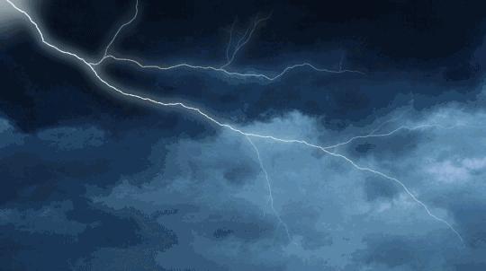 物种起源纪录片,物种的起源全文免费阅读