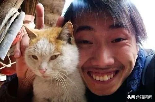 养猫好还是养狗好玄学,玄学上养猫有什么影响