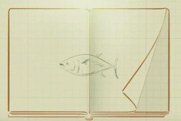 花木兰古代战争,花木兰对战争的影响