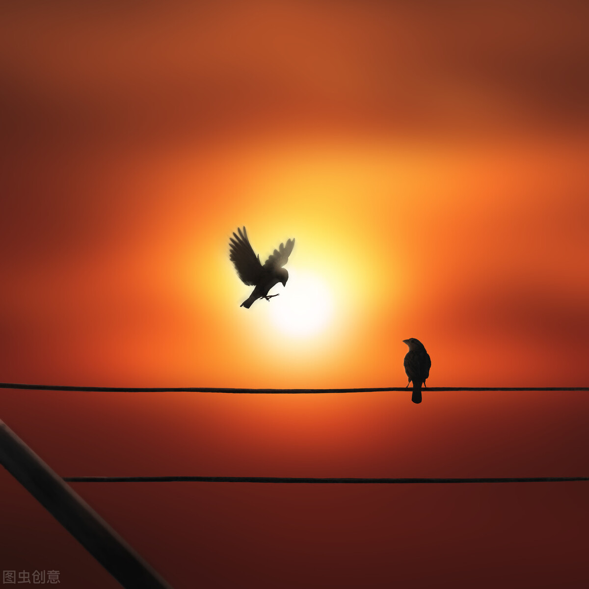 淋雨后反复发烧是什么原因,每一次淋雨都发烧