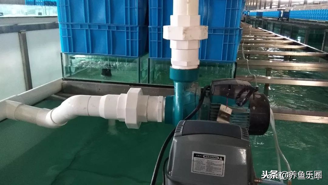 这位土豪家的渔场,光滤材就花了500多万,你确定不要见识一下?