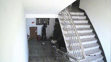 5岁女童叉腰吓退入室小偷上热搜,5岁女孩霸气吓跑小偷完整