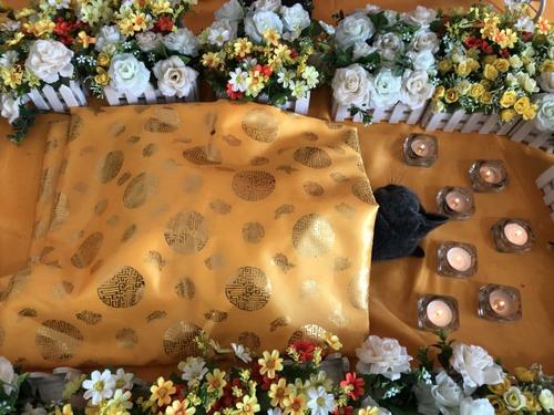 家里宠物去世了怎么缓解心情,厦门宠物狗死了怎么处理