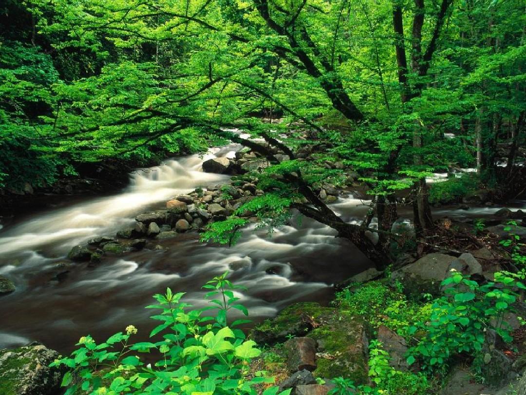 男生遭侵害该怎么办,男生怎么看待被侵害的女生
